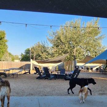 Clubhound - Outdoor area - shaded - Dog Parks Near Me - Garden City, Idaho Clubhound - Outdoor area - shaded - Dog Parks Near Me - Garden City, Idaho