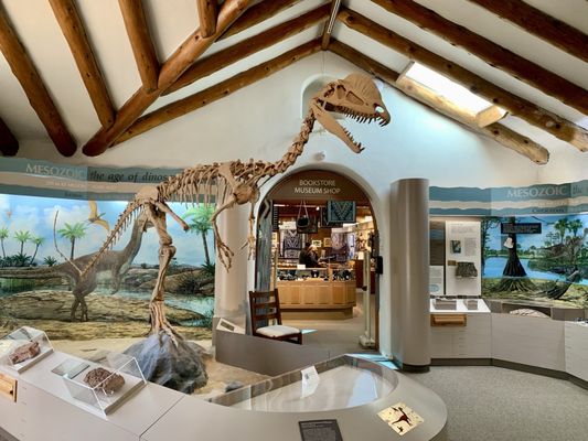 Museum of Northern Arizona by null