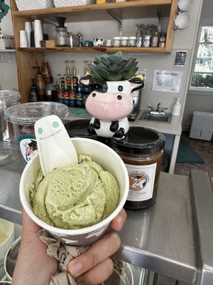Clever Cow Creamery by null