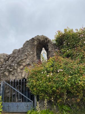 San Carlos Cathedral by null