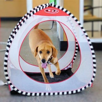 Potter League For Animals - Animal Shelters Near Me - Middletown, Rhode Island Potter League For Animals - Animal Shelters Near Me - Middletown, Rhode Island