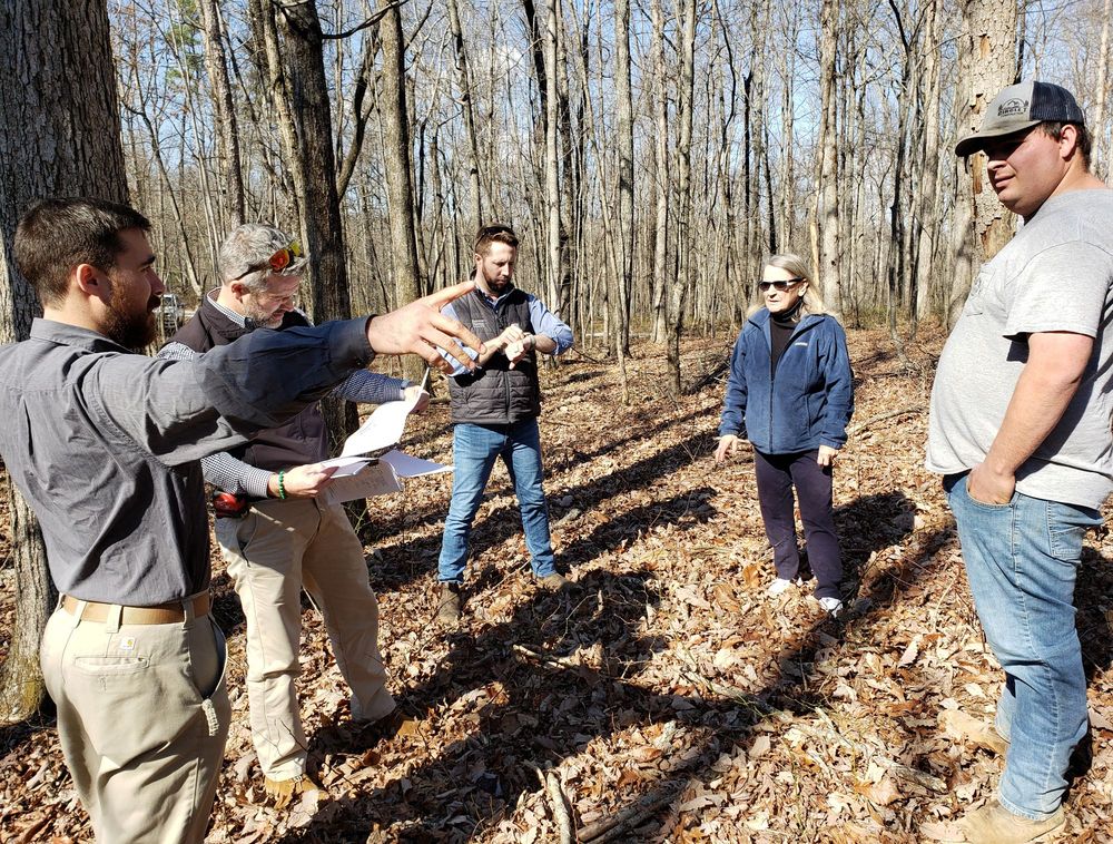 BROWN HAVEN HOMES 48 Photos & 11 Reviews 219 Merrimon Ave