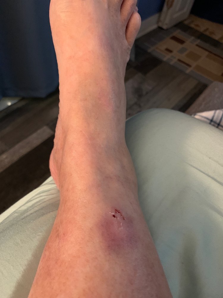 Florida Orthopaedic Institute - patient advocate in Tampa, FL