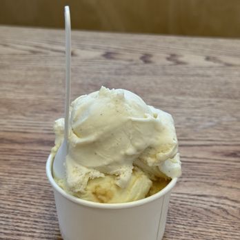 Spotty Dog Ice Cream - Vanilla and banana ice cream - Ice Cream & Frozen Yogurt Near Me - Richmond, Virginia Spotty Dog Ice Cream - Vanilla and banana ice cream - Ice Cream & Frozen Yogurt Near Me - Richmond, Virginia