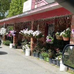 China Restaurant - Run down exterior. A lot of potted plants.