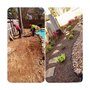 Photo of Lawns & Sprinklers USA