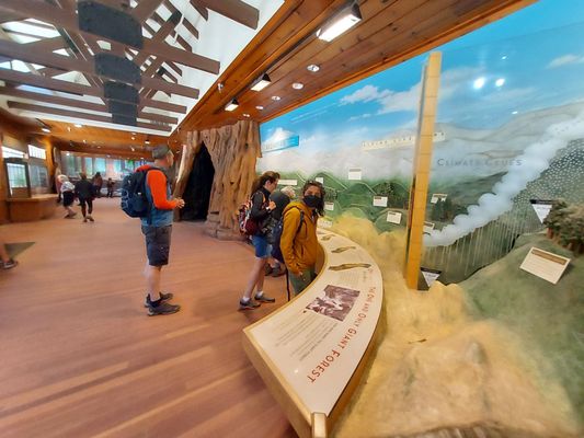 Giant Forest Museum by null