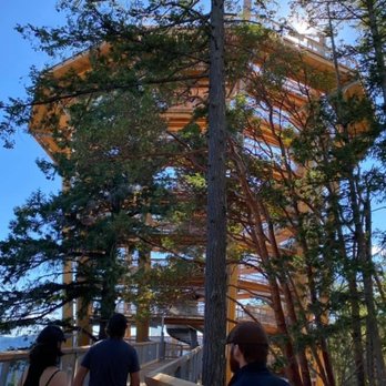 Malahat Skywalk - Historical Tours Near Me - Malahat, British Columbia