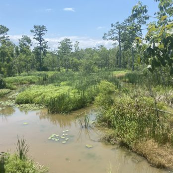 Zip Nola - Ziplining Near Me - Laplace, Louisiana