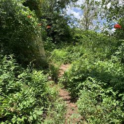 Riverwalk San Angelo - The path less traveled
