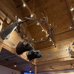 Taxidermy Taxidermy