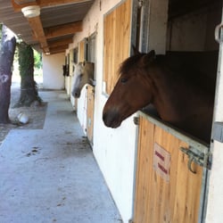 Club Hippique Marseille Allauch