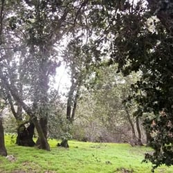 Cerro Manquehue - Los paisajes que logras apreciar en el cerro Manquehue son realmente impagables.