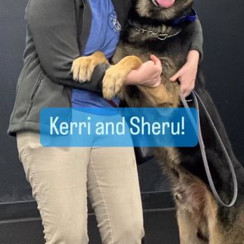 K9 Mania Dog Training - Trainer Kerri and Sheru - Pet Training Near Me - Deer Park, New York K9 Mania Dog Training - Trainer Kerri and Sheru - Pet Training Near Me - Deer Park, New York