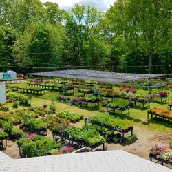 Tilly & Salvy's Bacon Street Farm - Garden center