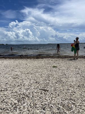 John Pennekamp Coral Reef State Park by null