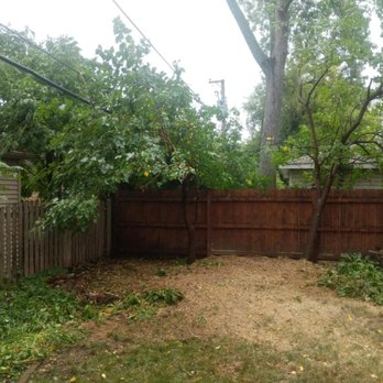 Sofia's Tree Care - All gone! - Tree Services Near Me