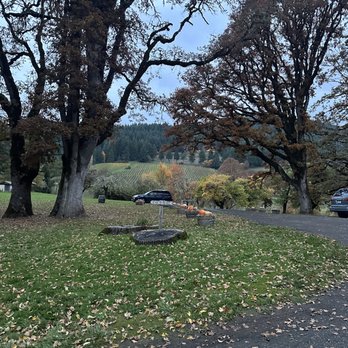 Lumos Wine - a parking lot with trees and grass - Wineries Near Me - Philomath, Oregon
