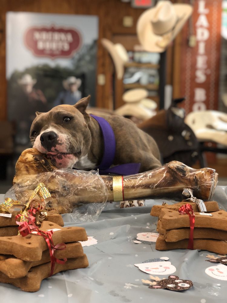 MACIAS FEED & PET SUPPLY Updated September 2024 144 Photos 4211