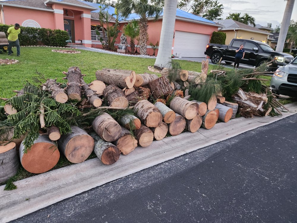 Slide of CHDO by Sunrise City