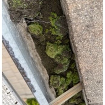Spotless Cleaning Services - Pressure Washers Near Me