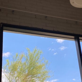 North Italia - Window full of flies - Italian Near Me - Tucson, Arizona