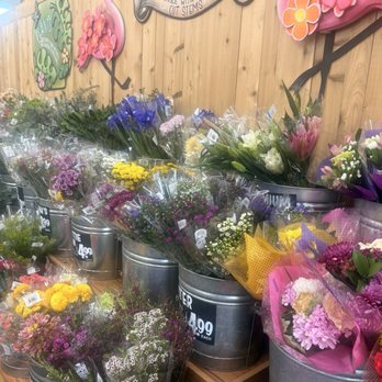 Trader Joe's - Flowers - Grocery Near Me - Coral Springs, Florida
