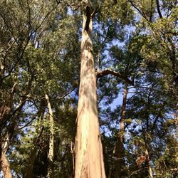 Parque de Serralves