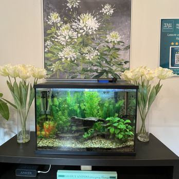 Trinity Medical Imaging - Makes me happy - Diagnostic Imaging Near Me - Toronto, Ontario Trinity Medical Imaging - Makes me happy - Diagnostic Imaging Near Me - Toronto, Ontario