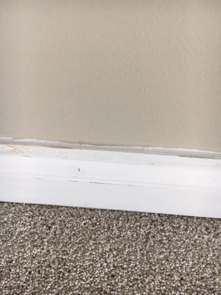 FRESH COAT PAINTERS OF FLORENCE Lakeside Park, Kentucky Painters