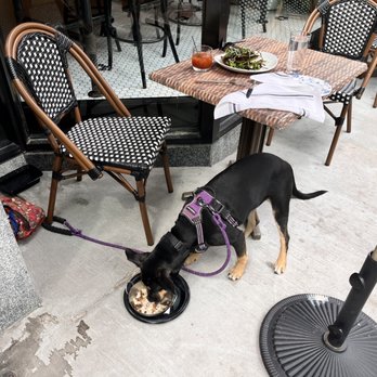 Nonnina - Yes ... she devoured it all. - Italian Near Me - Chicago, Illinois