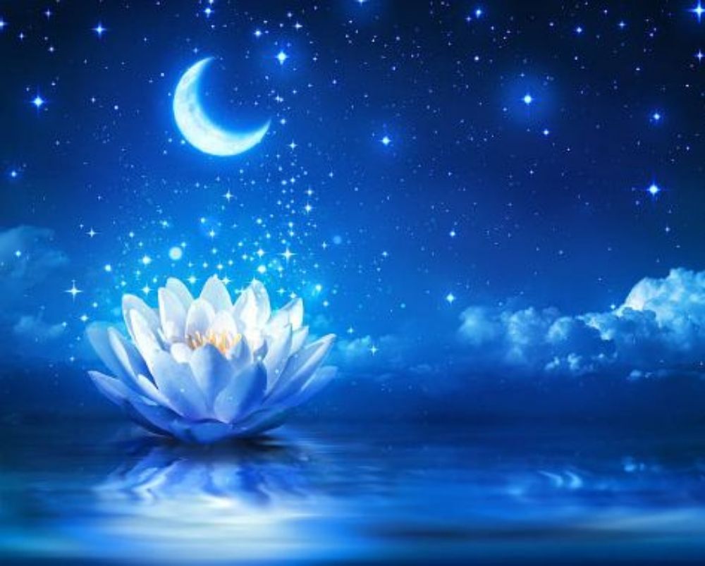 Blue Lotus Tattoos Logo