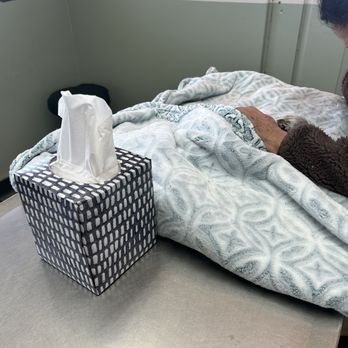 Cottage Animal Hospital - Goodbye to the best boy ever. 16 wonderful years  we miss you. - Veterinarians Near Me - Oxnard, California