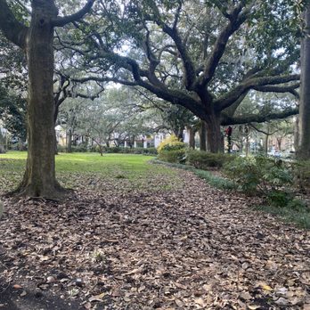 Forsyth Park - Parks Near Me - Savannah, Georgia Forsyth Park - Parks Near Me - Savannah, Georgia