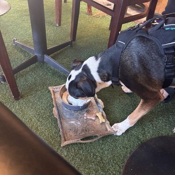Morrison - Burbank - Gastropubs Near Me - Burbank, California