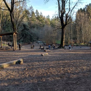 GOLDEN GARDENS OFF-LEASH AREA - Updated January 2025 - 31 Photos 