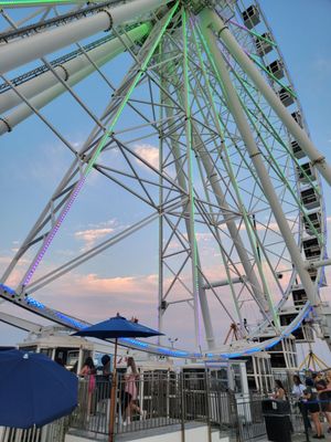 Showboat Resort Atlantic City by null
