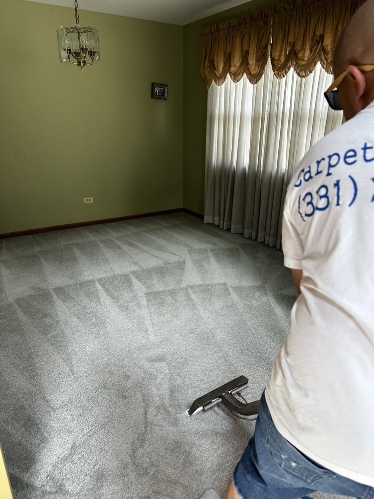 PRO EXTRACT CARPET CLEANING AND RESTORATION Updated October 2024
