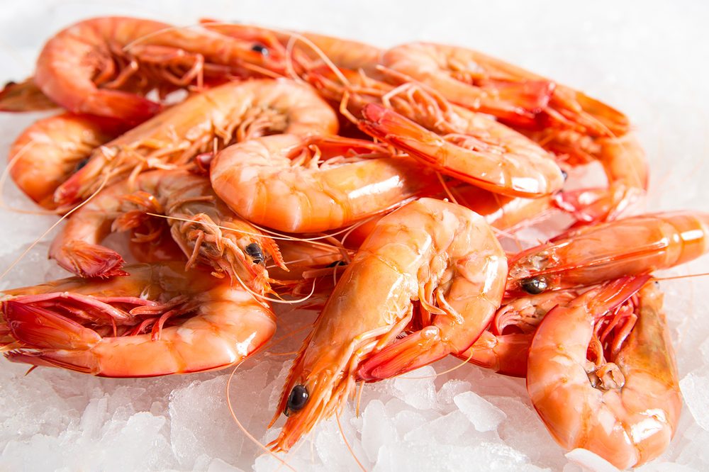 MELBOURNE SEAFOOD MARKET 22 Photos 542 Footscray Rd, West Melbourne Victoria, Australia Yelp