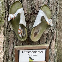 Wildpark Eekholt - Ohne Worte