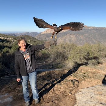 Sky Falconry - Specialty Schools Near Me - Alpine, California Sky Falconry - Specialty Schools Near Me - Alpine, California