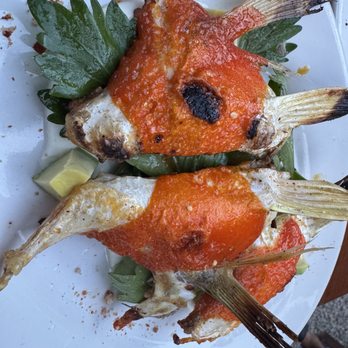 Hartwood - Fish collar - Mexican Near Me - Tulum, ROO Hartwood - Fish collar - Mexican Near Me - Tulum, ROO