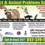 Photo of ABC Humane Wildlife Control & Prevention