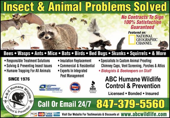 Abc Animal Control ABC Humane Wildlife Control & Prevention - Updated May 2026 - 49 Photos ...