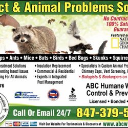 ABC Humane Wildlife Control & Prevention
