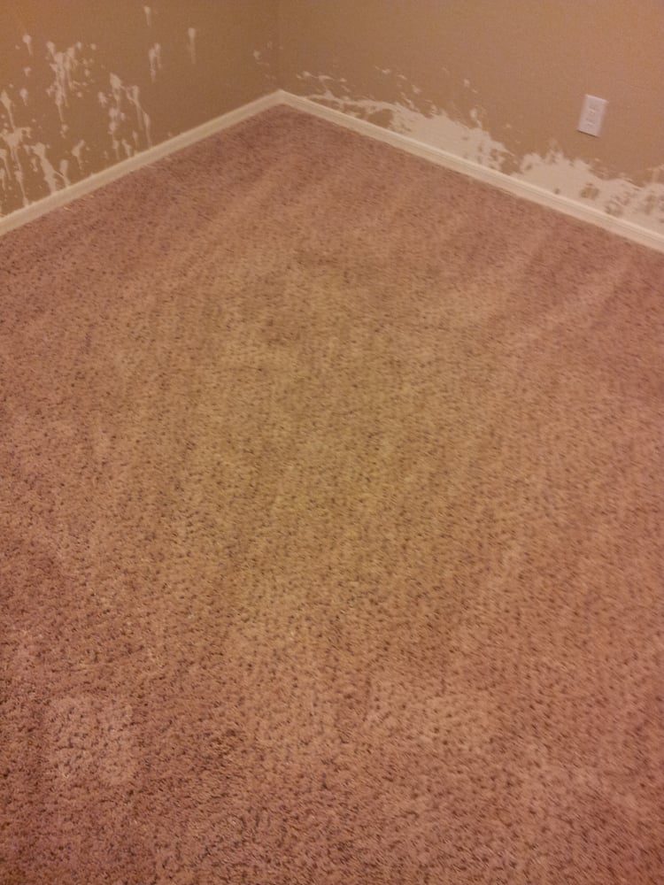 HARTE’S CARPET & TILE CLEANING Updated March 2024 15 Photos 2327