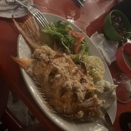 fish
