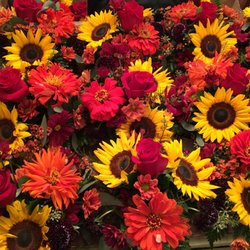 The Flower Bed
