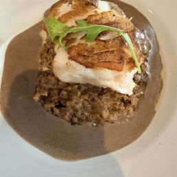 Sea bass Sea bass