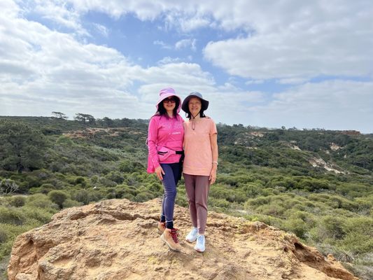 Torrey Pines State Natural Reserve by null